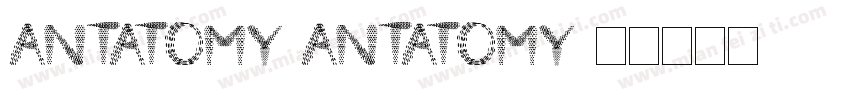 Antatomy Antatomy字体转换